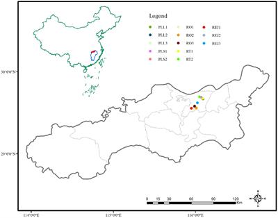 Interpopulation variation in seed traits of five Polygonaceae